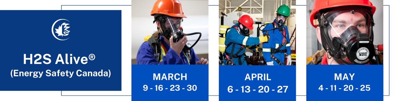 BANNERS+COURSES+25.5cm+x+6.5+cm+