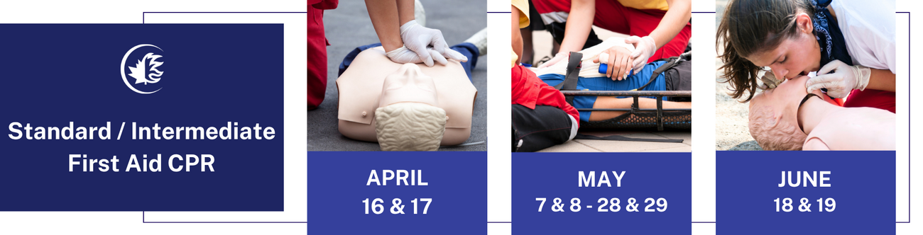 BANNERS+COURSES+25.5cm+x+6.5+cm++%281%29