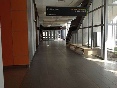 LG_0000_photo