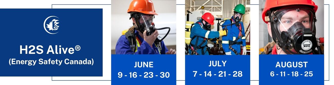 BANNERS+COURSES+25.5cm+x+6.5+cm+