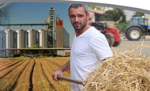 Agricultural Safety