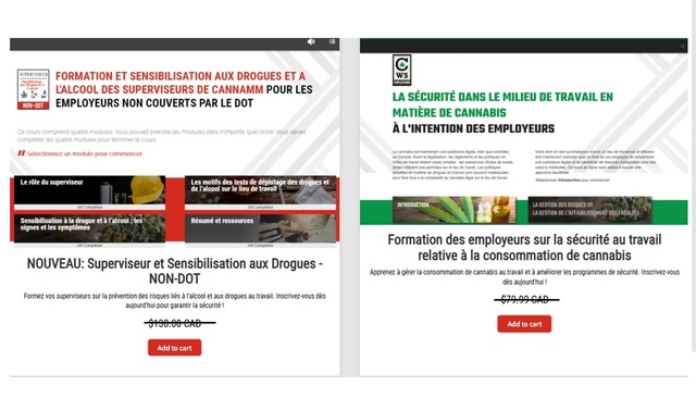 FORFAIT : Formation de sensibilisation pour les employeurs (non-DOT)