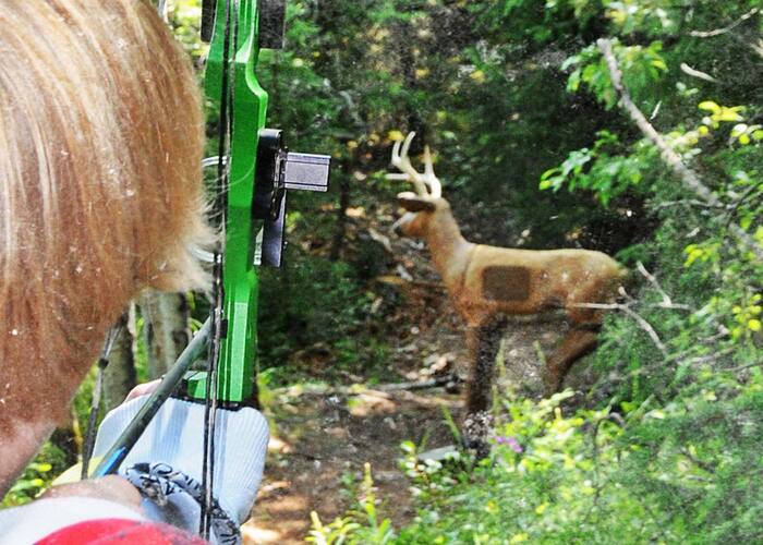 youth-programs-archery