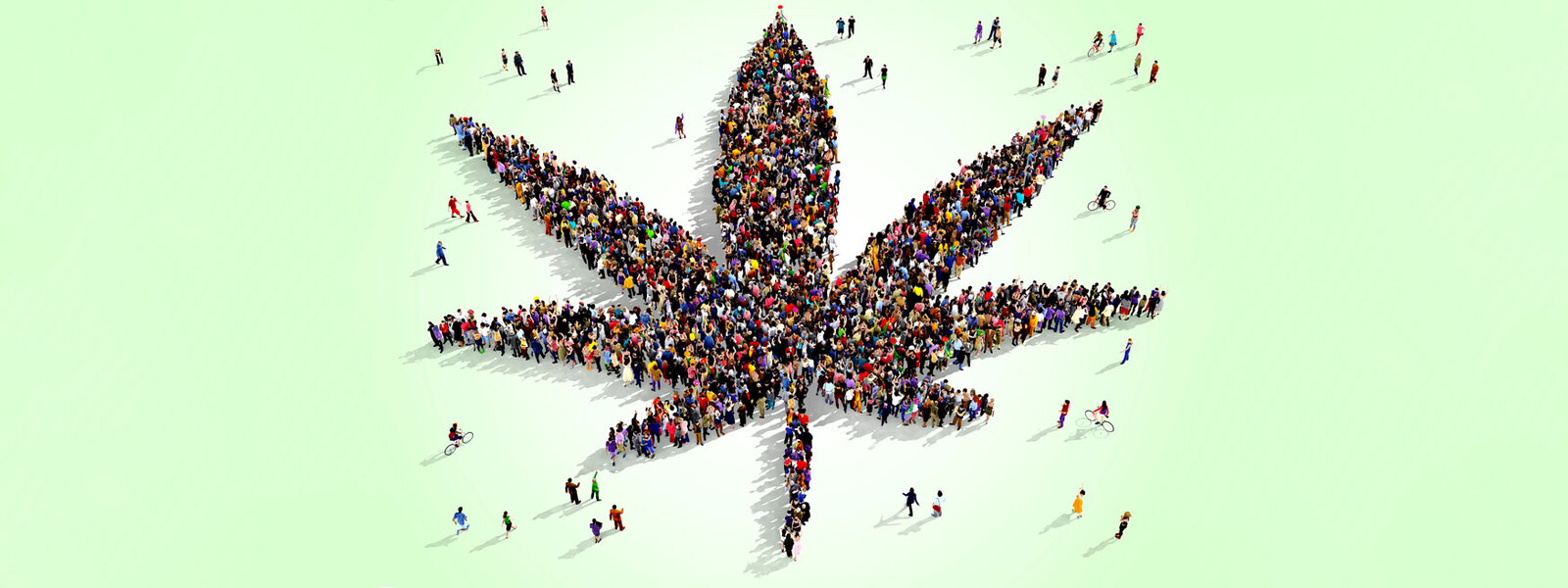 cannabis-community
