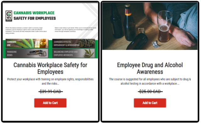 BUNDLE: Employee Awareness Training