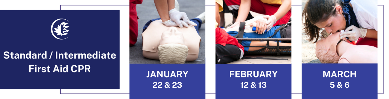 BANNERS+COURSES+25.5cm+x+6.5+cm+