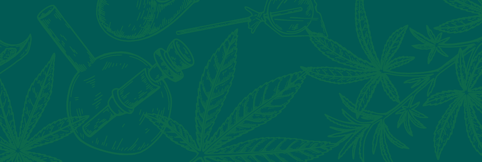 cannsell_banner_budtender_20250801_web (2)