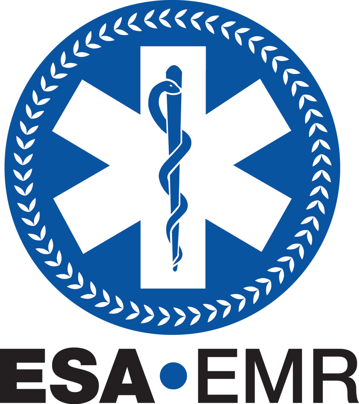 ESA_EMR_Colour