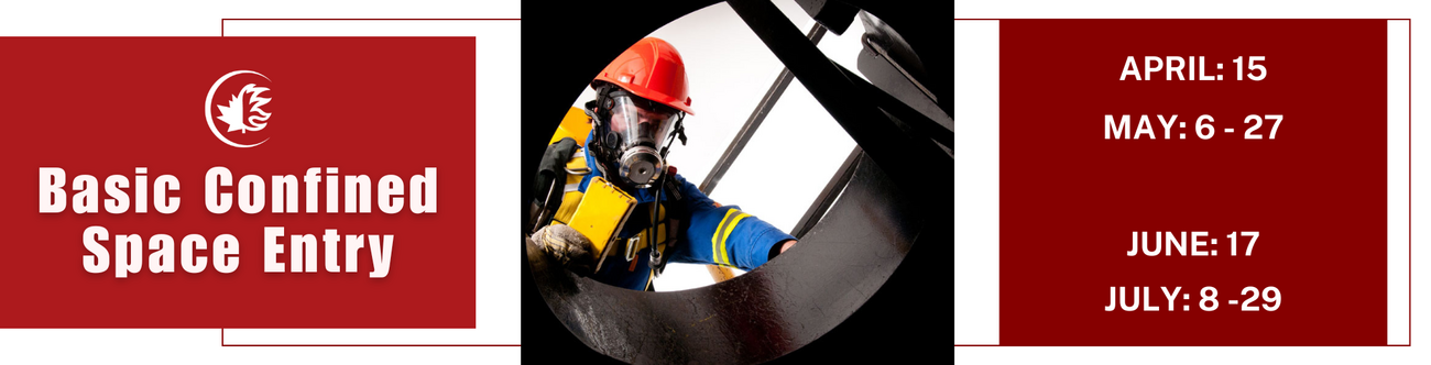 BANNERS+COURSES+25.5cm+x+6.5+cm++%281%29