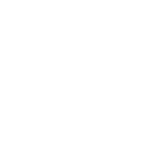AIP-Safety-Logo_white
