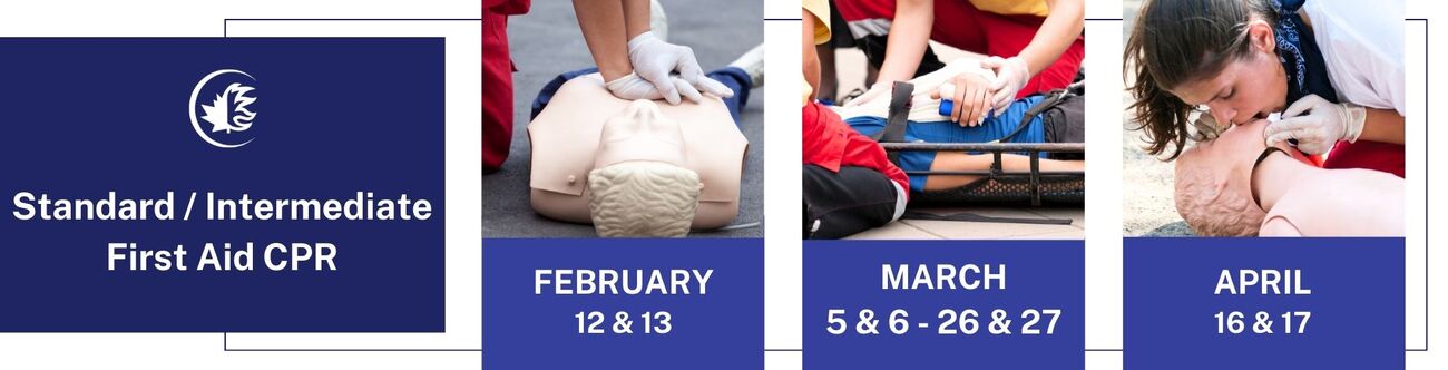 BANNERS+COURSES+25.5cm+x+6.5+cm+