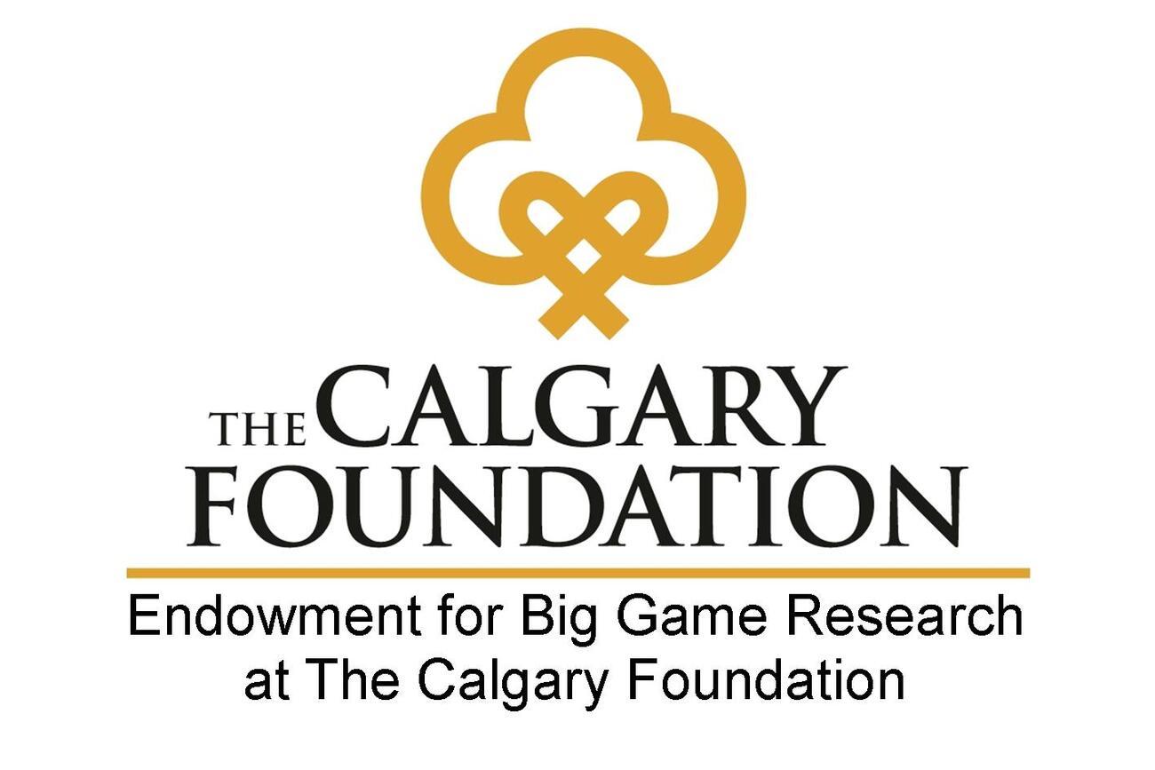 Calgary-Foundation1