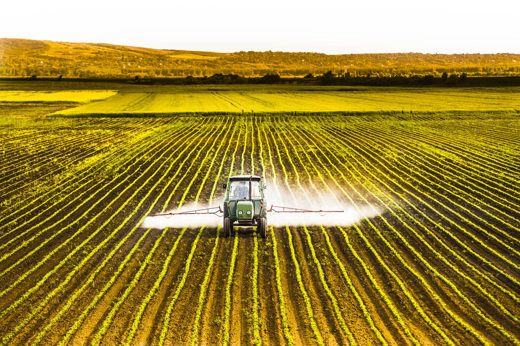 Tractor_spraying_a_corn_field