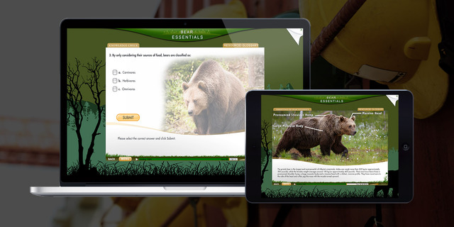 Bear Awareness Online Training