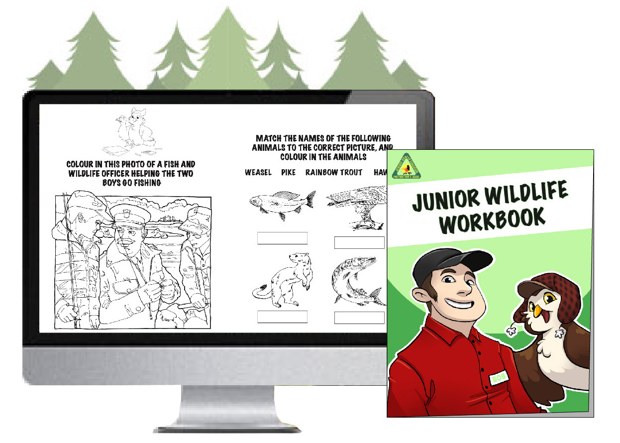 Junior-Wildlife-WB-Icon