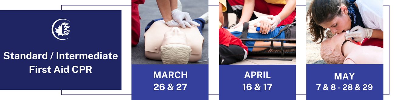 BANNERS+COURSES+25.5cm+x+6.5+cm+